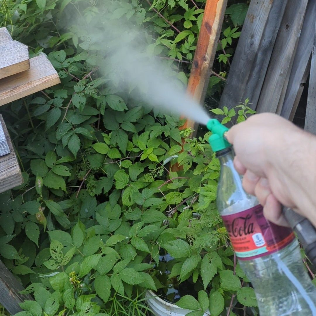 Pop Bottle Venturi Nozzle (X4)